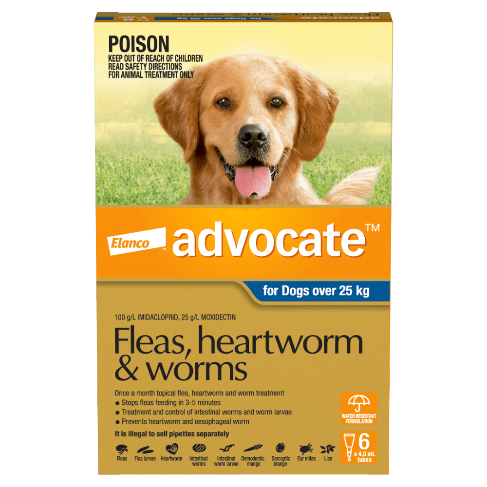 advocate-dog-extra-large-blue