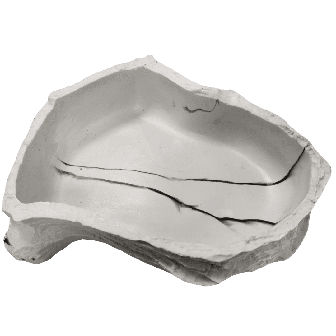 Billabong Bowl Sandstone for Reptiles