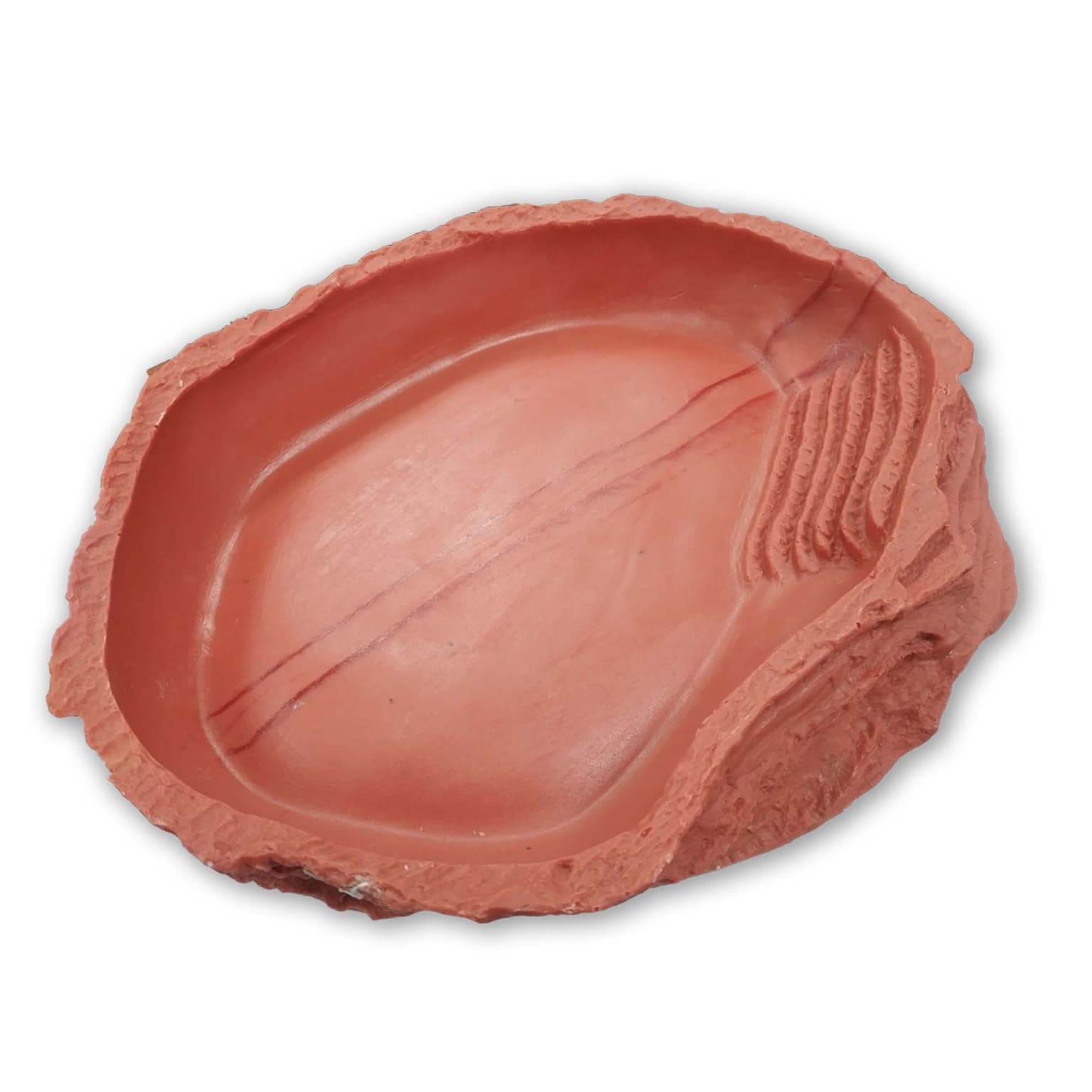 Billabong Bowl Brown for Reptiles