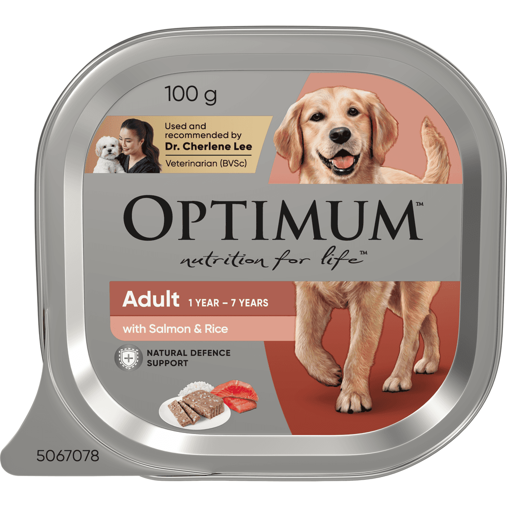 optimum-adult-wet-dog-food-salmon-and-rice-trays