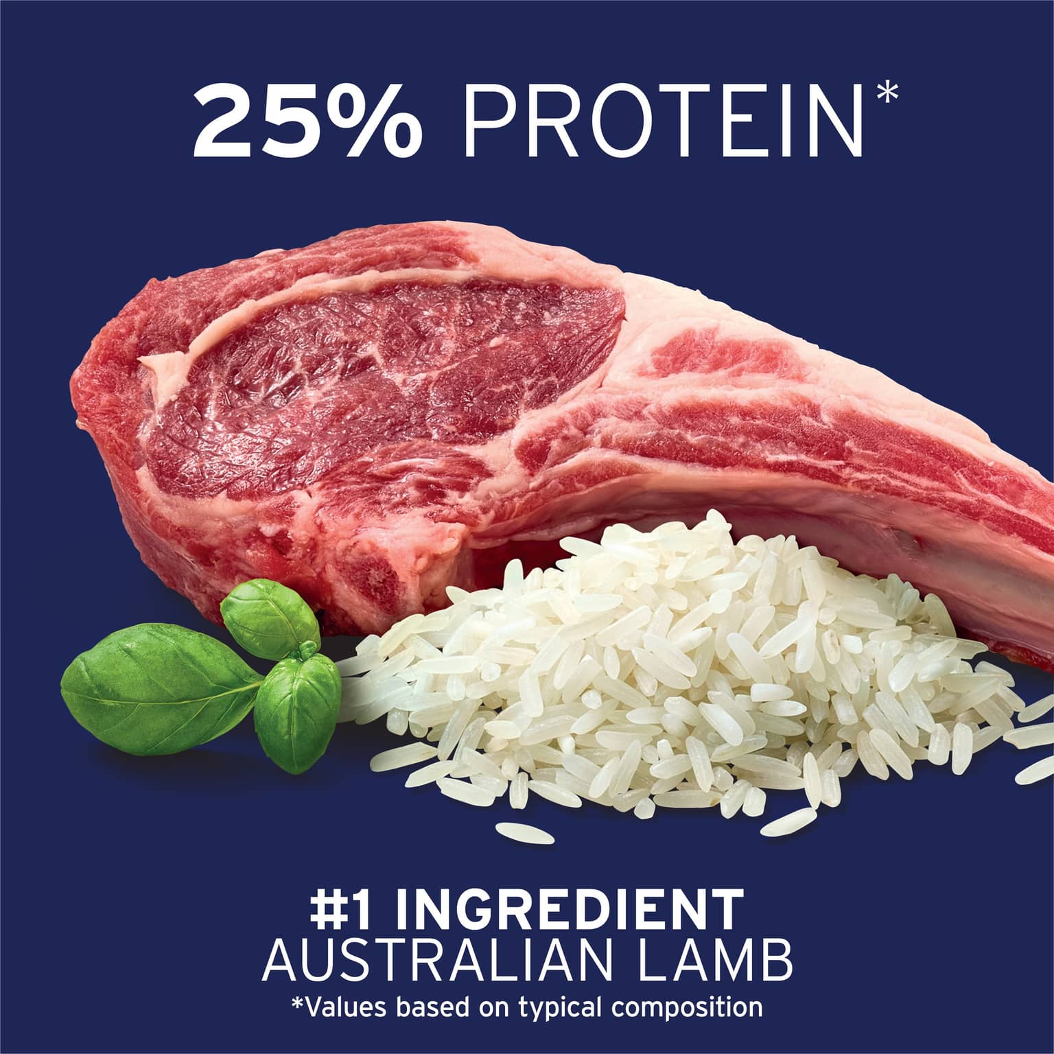 ADVANCE Small Adult Dry Dog Food Lamb With Rice