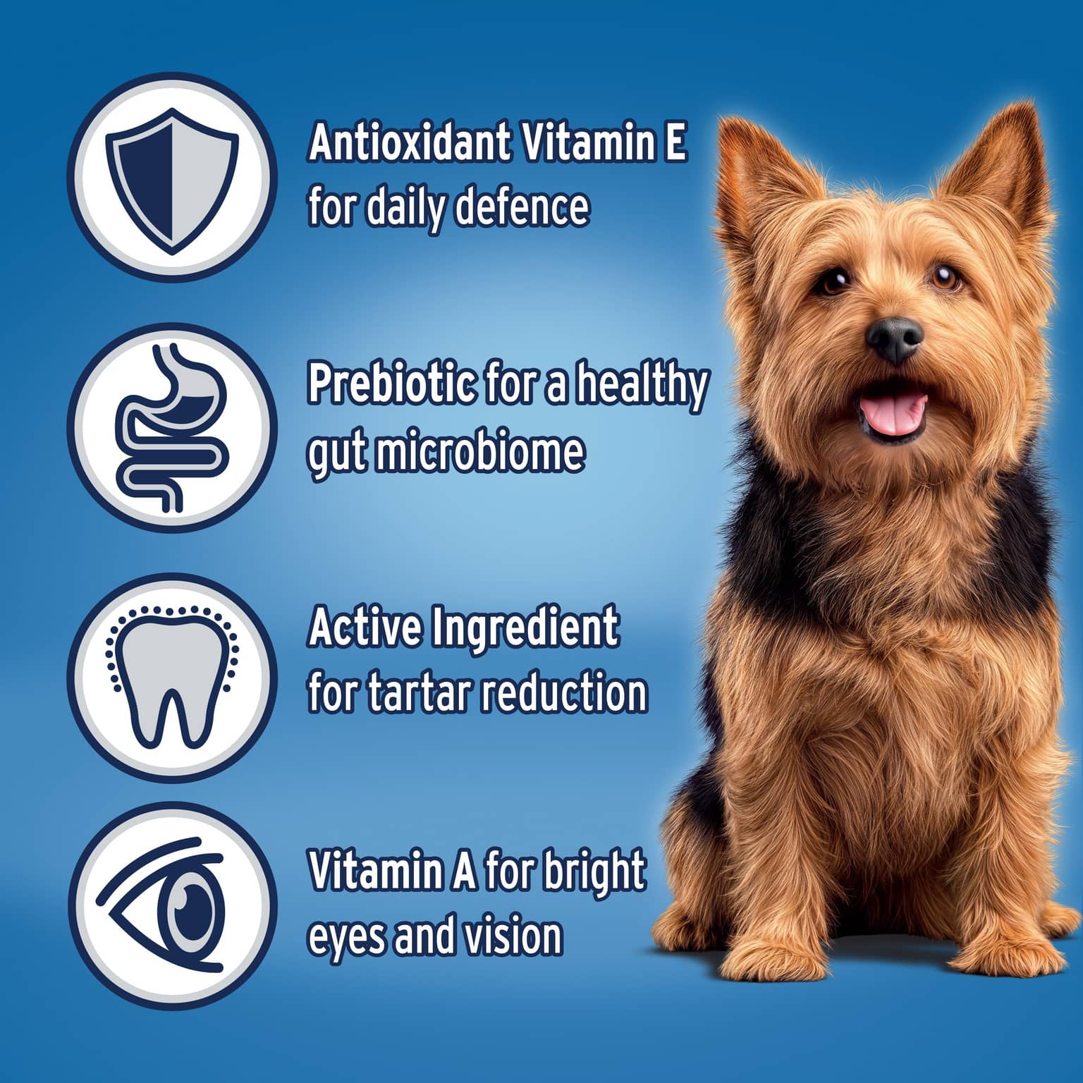 ADVANCE Small Adult Dry Dog Food Lamb With Rice