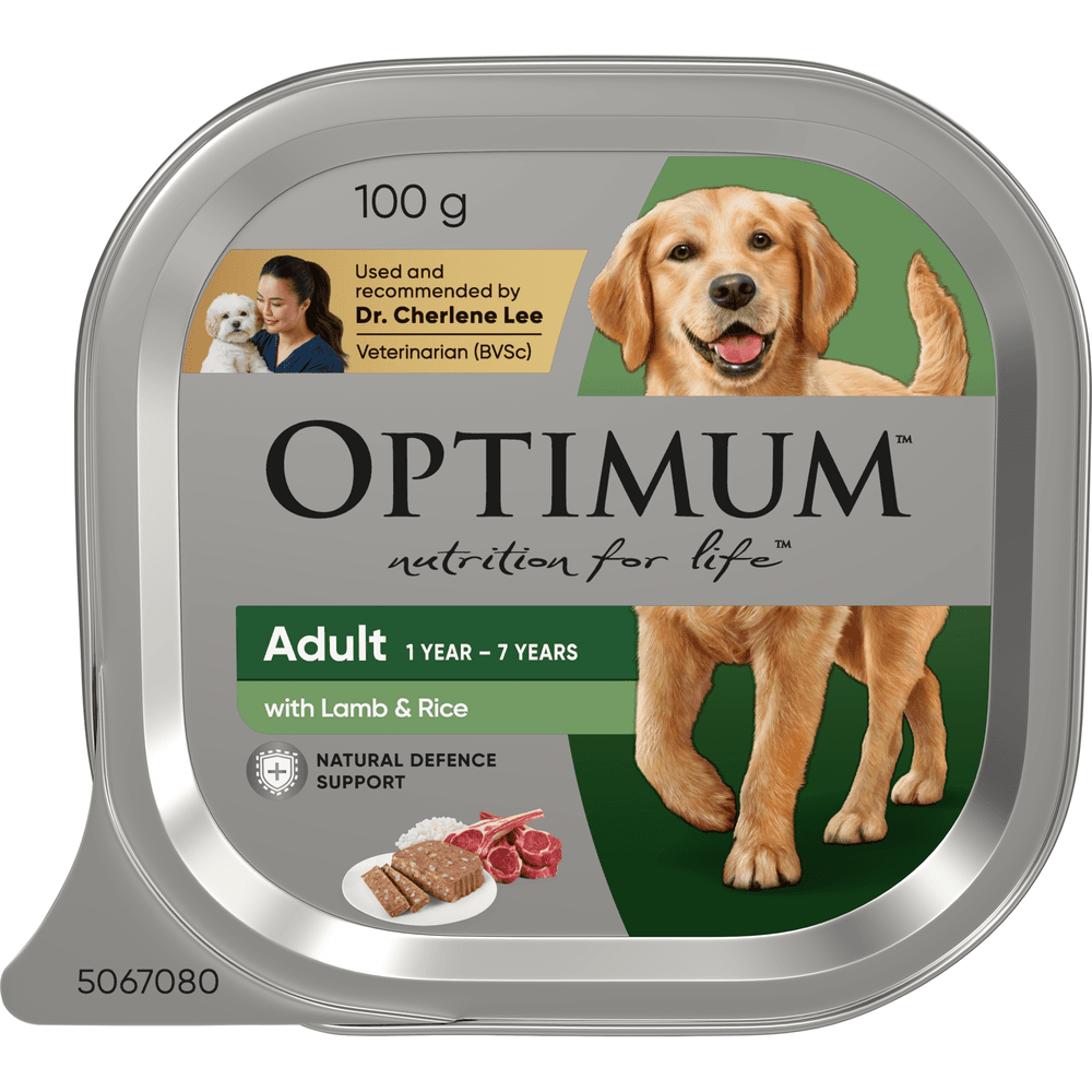 optimum-adult-lamb-rice-dog-food-trays