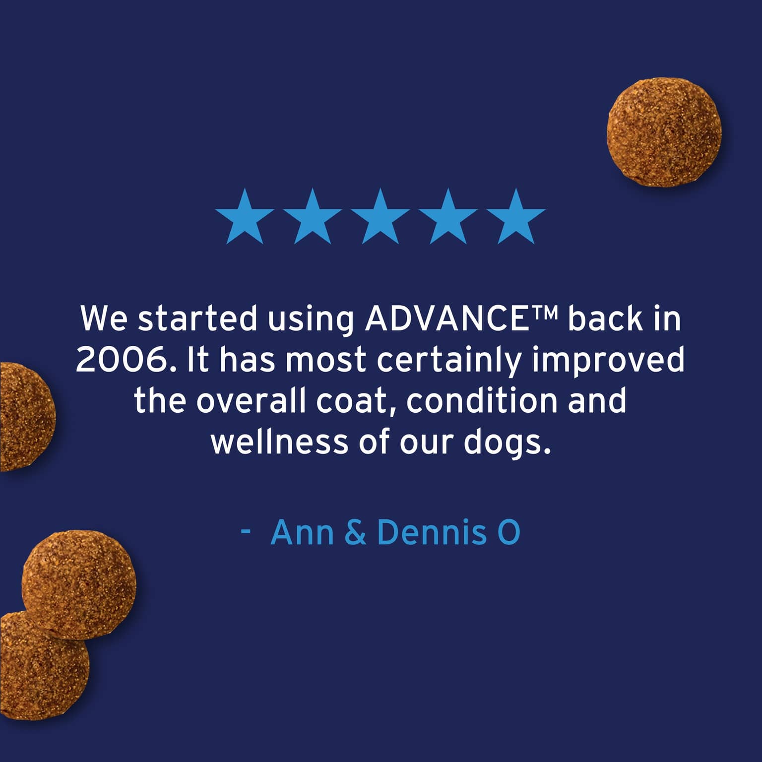 ADVANCE Large Adult Dry Dog Food Turkey With Rice