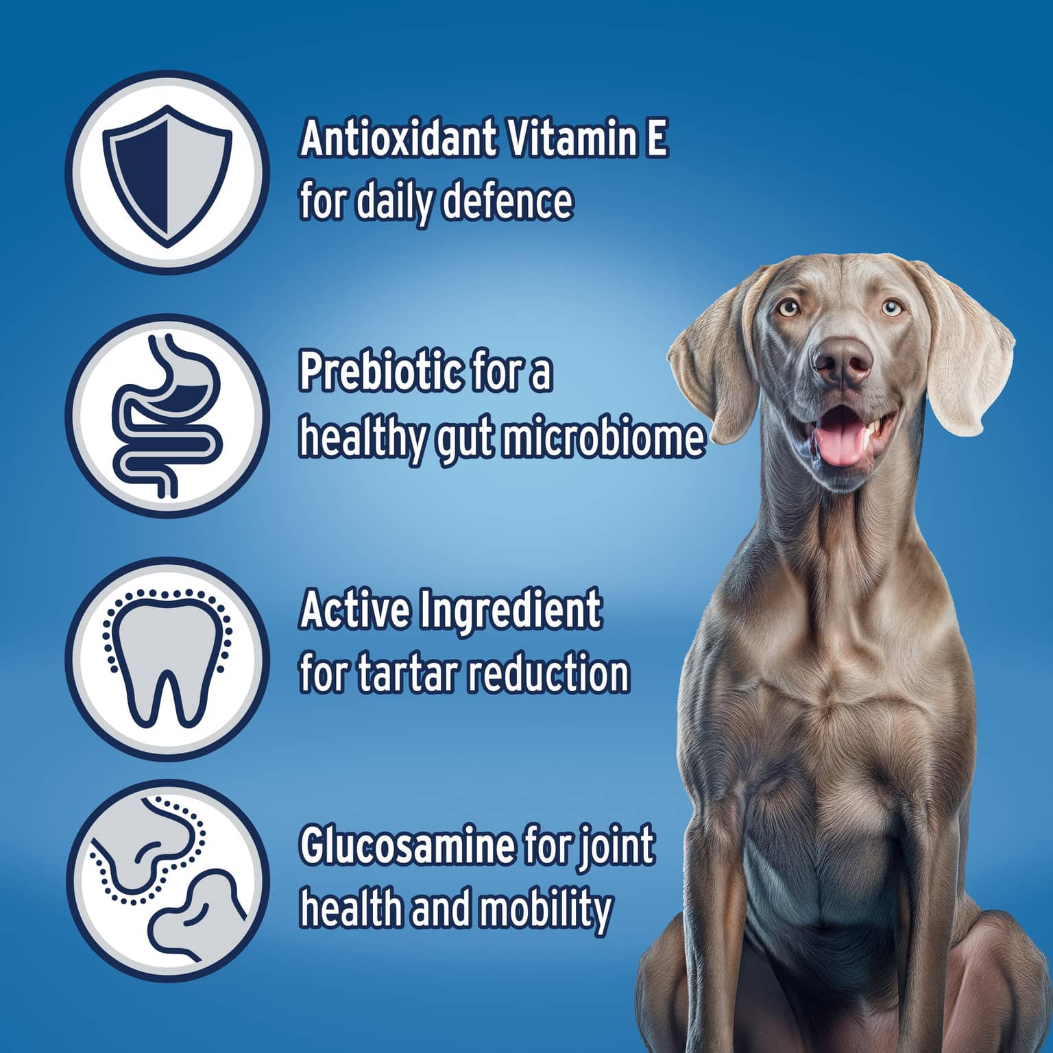 ADVANCE Large Adult Dry Dog Food Turkey With Rice