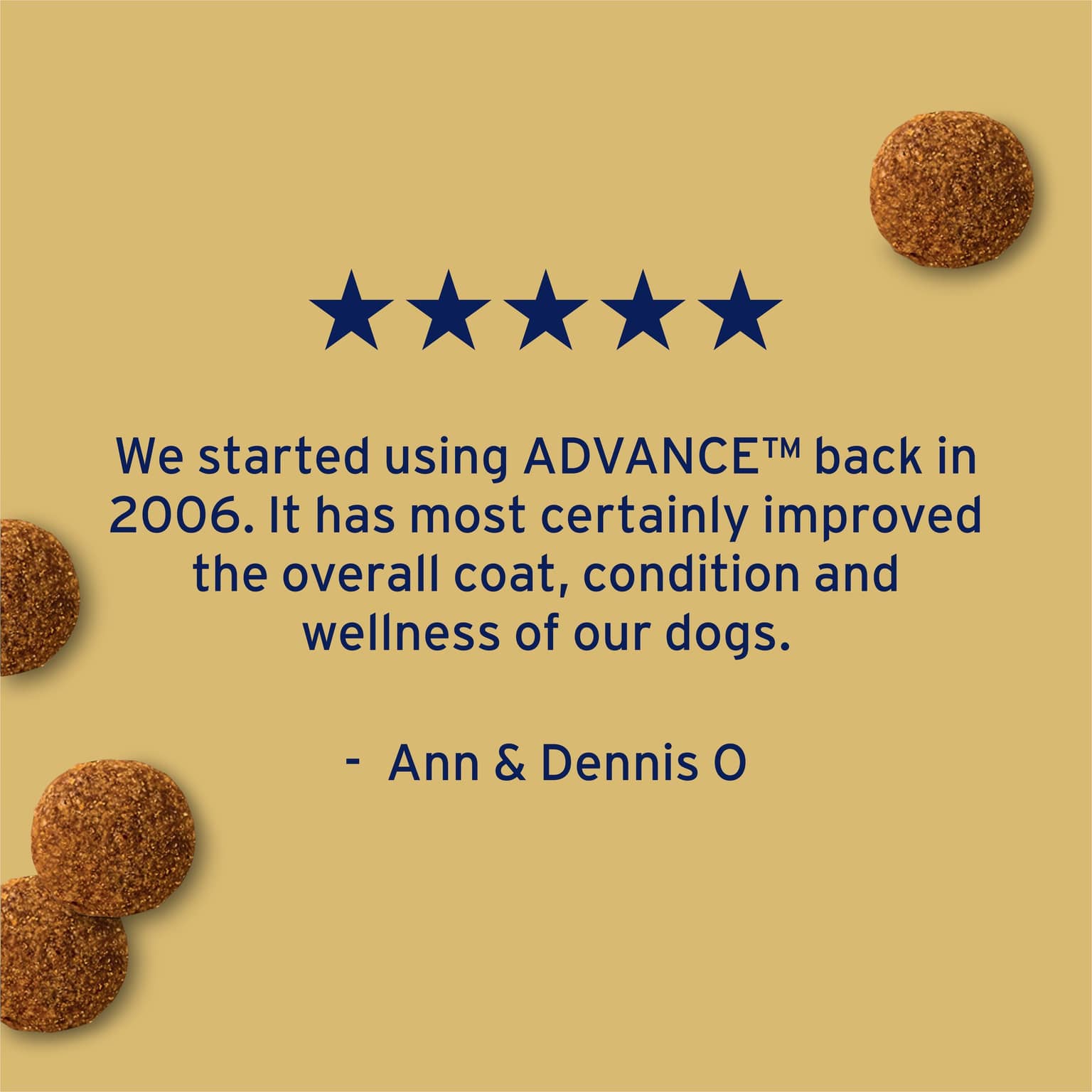 ADVANCE Medium Terriers Adult Dry Dog Food Turkey With Rice