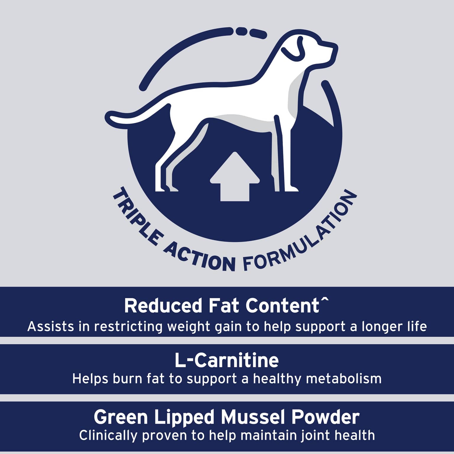 ADVANCE Healthy Weight Adult Dry Dog Food Chicken and Rice