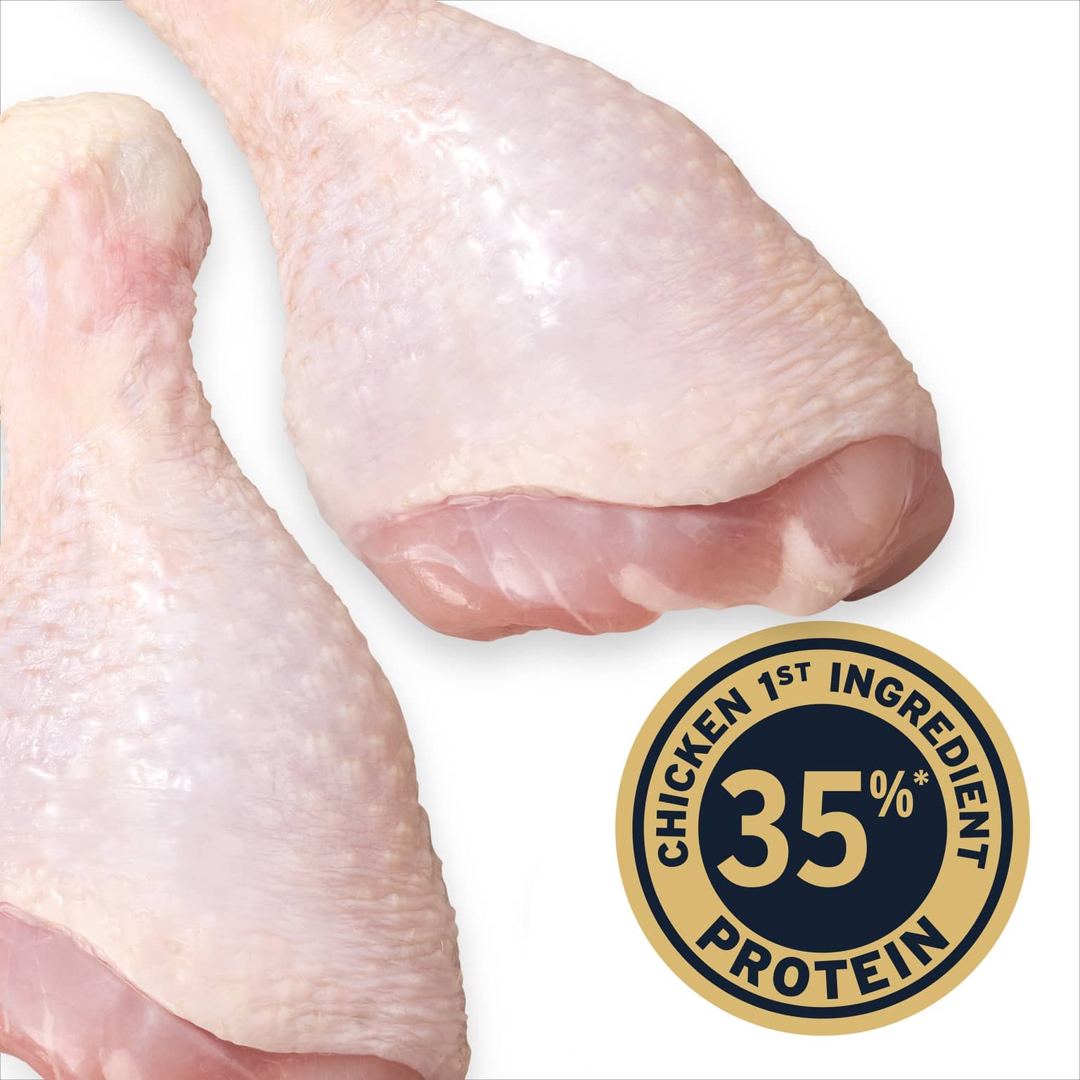 ADVANCE High Protein Adult Chicken Dry Dog Food