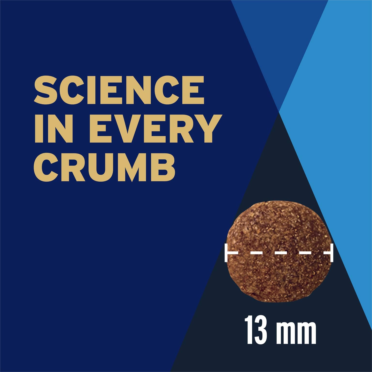 ADVANCE High Protein Adult Chicken Dry Dog Food