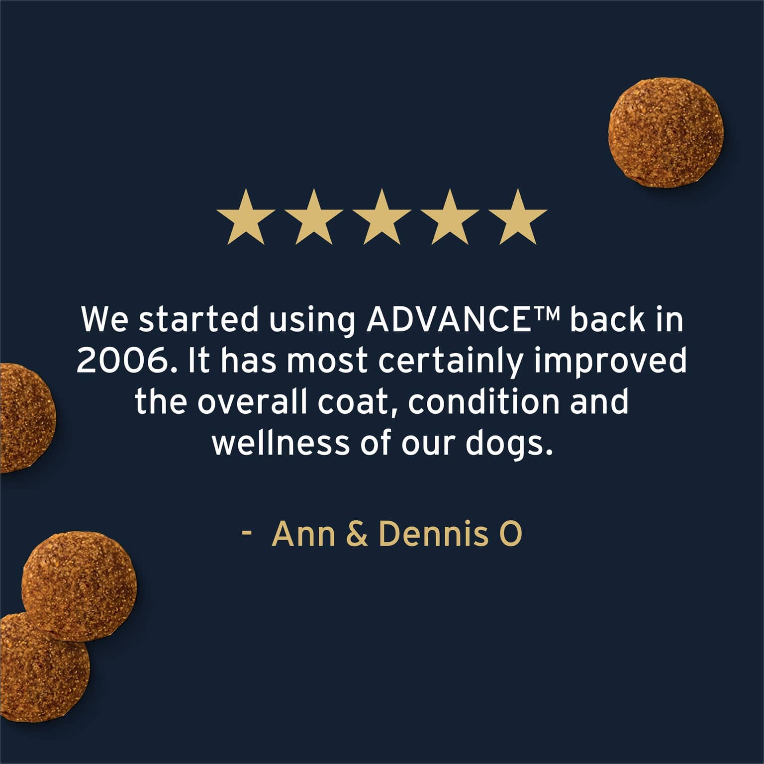 ADVANCE High Protein Adult Chicken Dry Dog Food