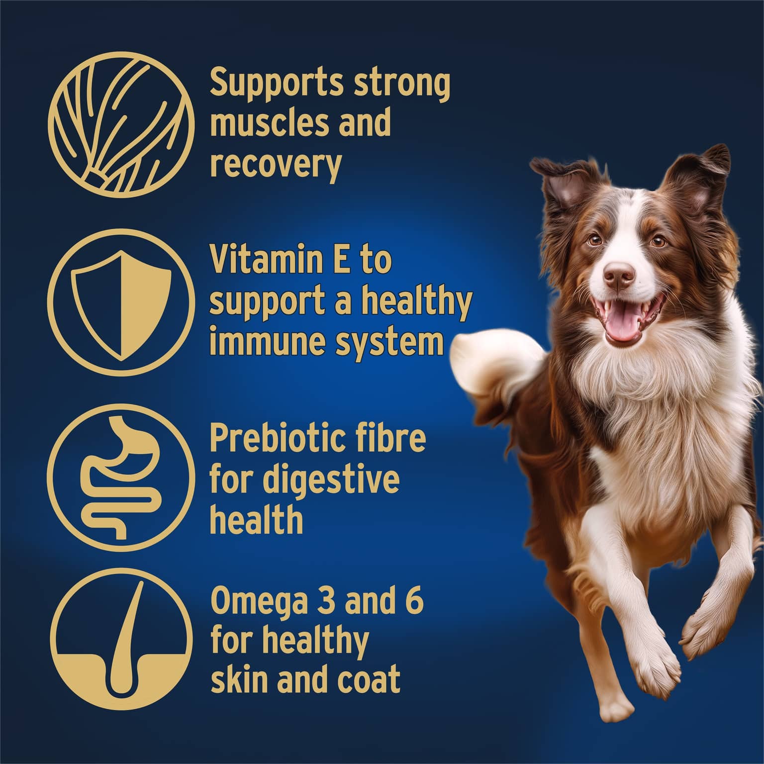 ADVANCE High Protein Adult Chicken Dry Dog Food