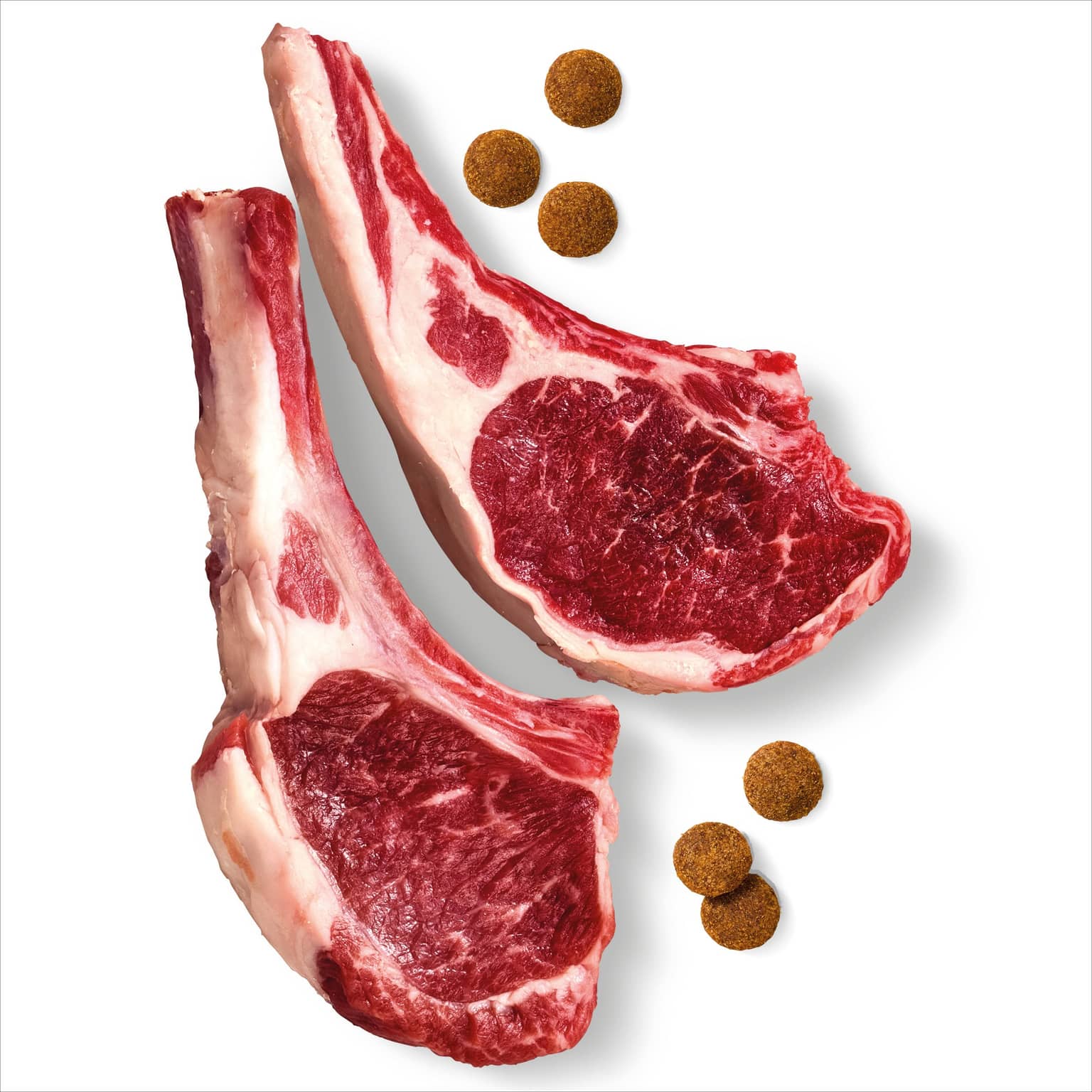 ADVANCE High Protein Adult Lamb Dry Dog Food