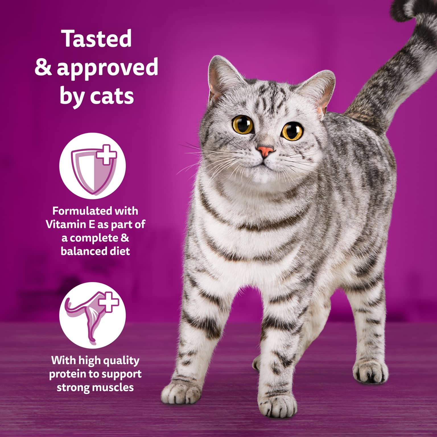Whiskas Variety Pack Chicken Wet Cat Food