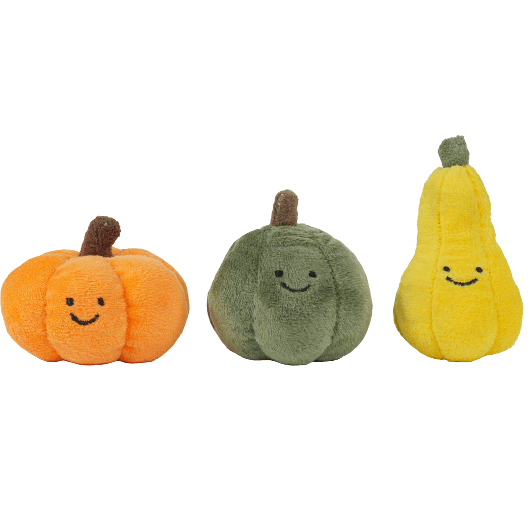 envon-mini-pumpkin-3-pack-dog-toy