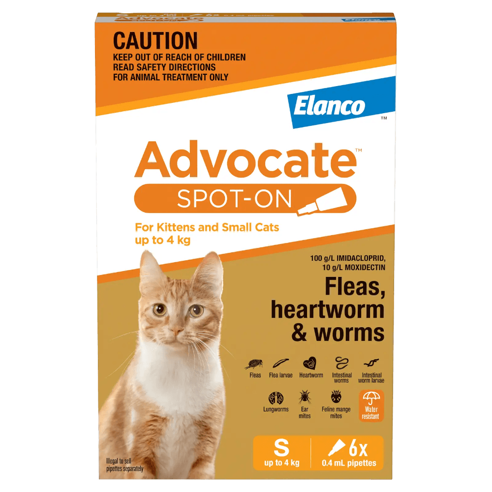 Flea & Worming Spot-On Kitten Small Cat Orange
