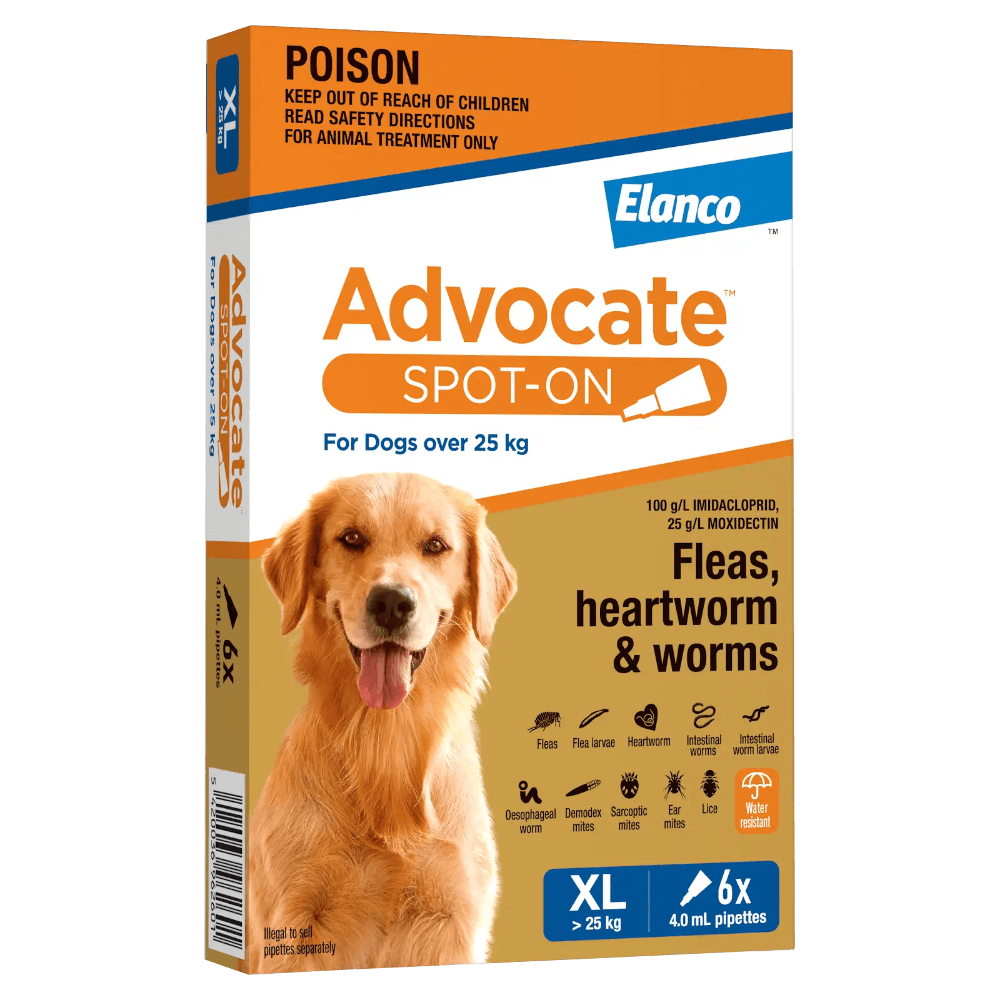 Advocate Blue Spot-On for Extra Large Dogs