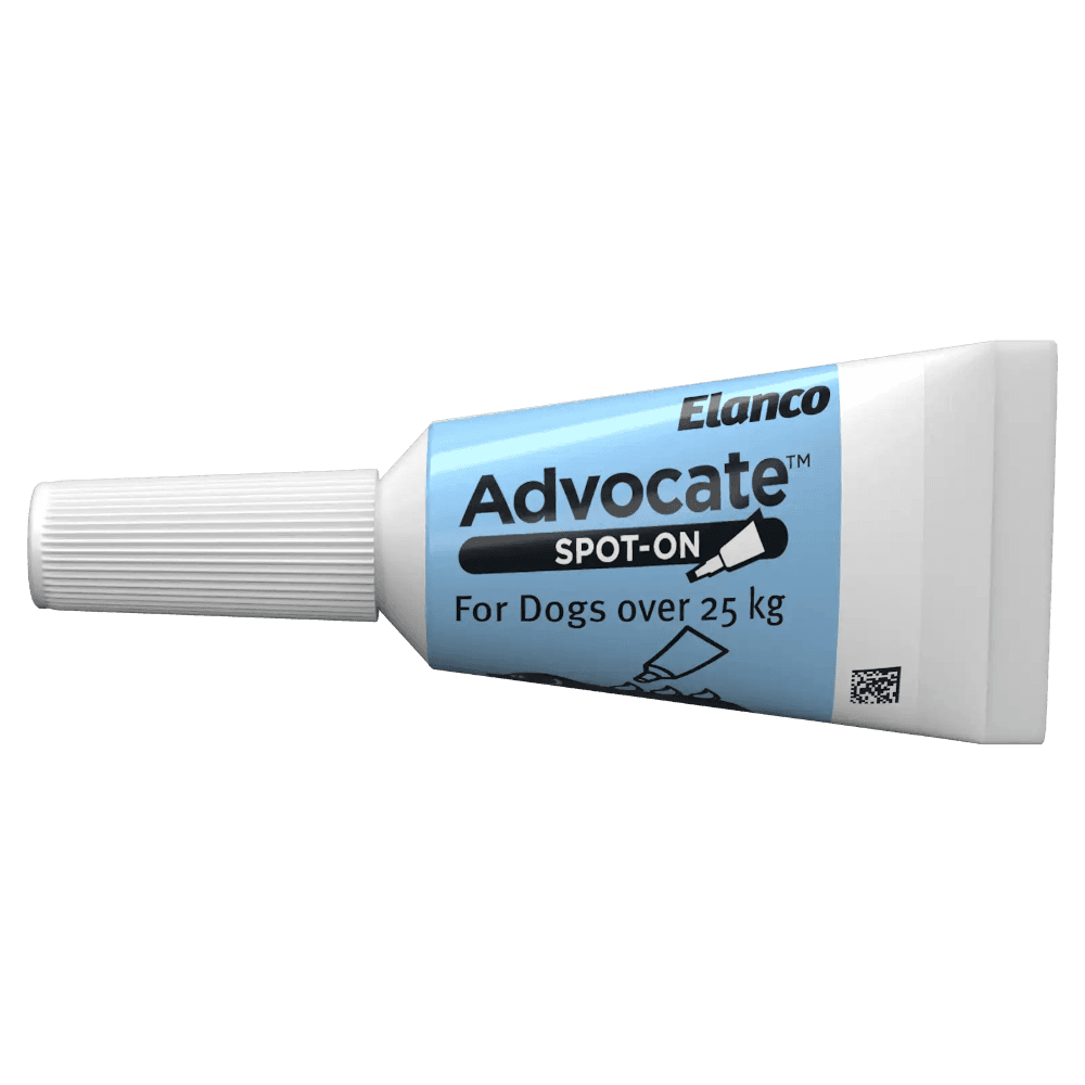 Advocate Blue Spot-On for Extra Large Dogs