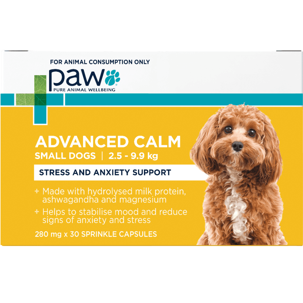paw-advanced-calm-stress-anxiety-support-small-dogs