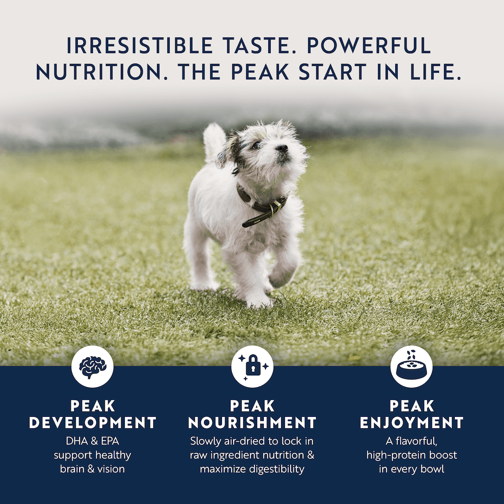 Ziwi Air Dried Chicken & Lamb Recipe Puppy Dry Dog Food