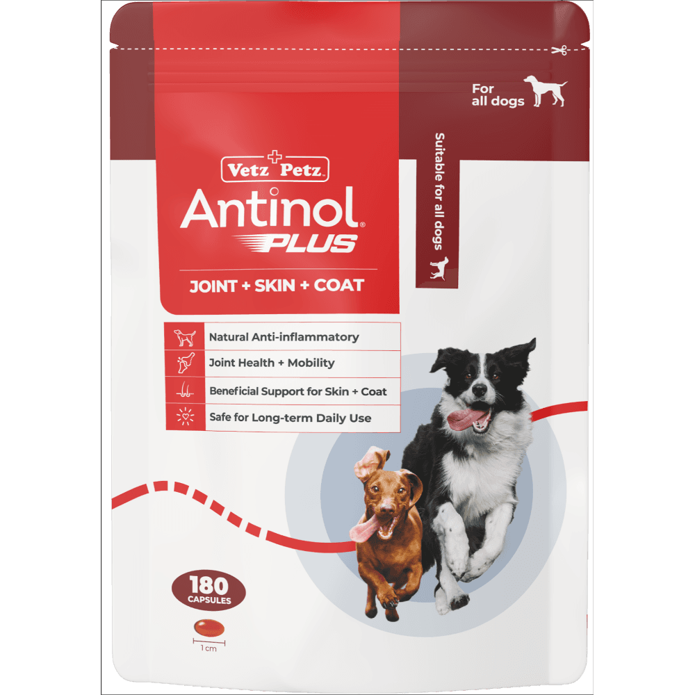 Antinol Plus Joint Supplement Capsules For Dogs