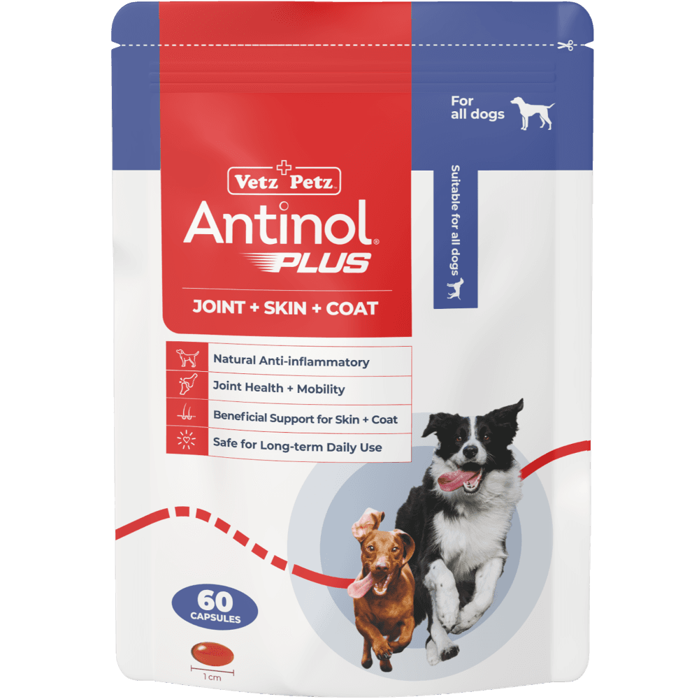 Antinol Plus Joint Supplement Capsules For Dogs