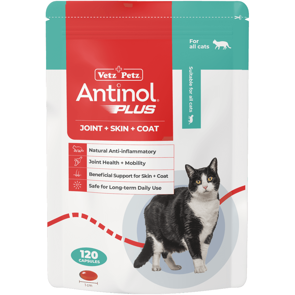 Antinol Plus Joint Supplement Capsules For Cats