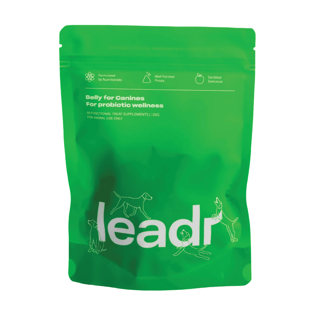 leadr-belly-probiotic-supplement-for-dogs