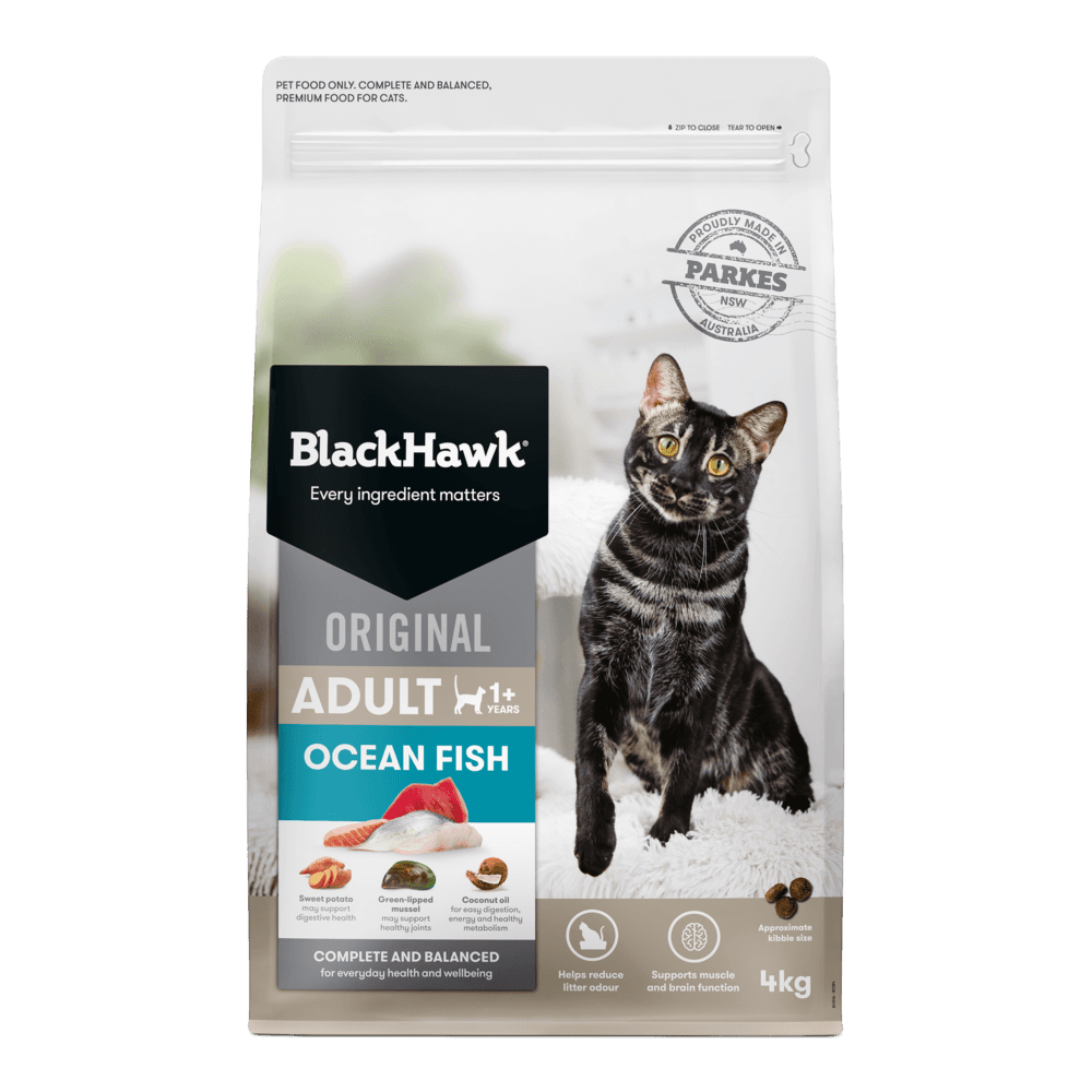 black-hawk-original-dry-cat-food-adult-ocean-fish
