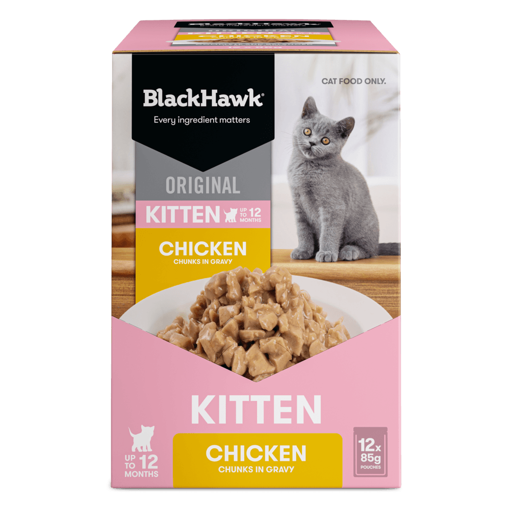 black-hawk-wet-cat-food-kitten-chicken-in-gravy-pouches