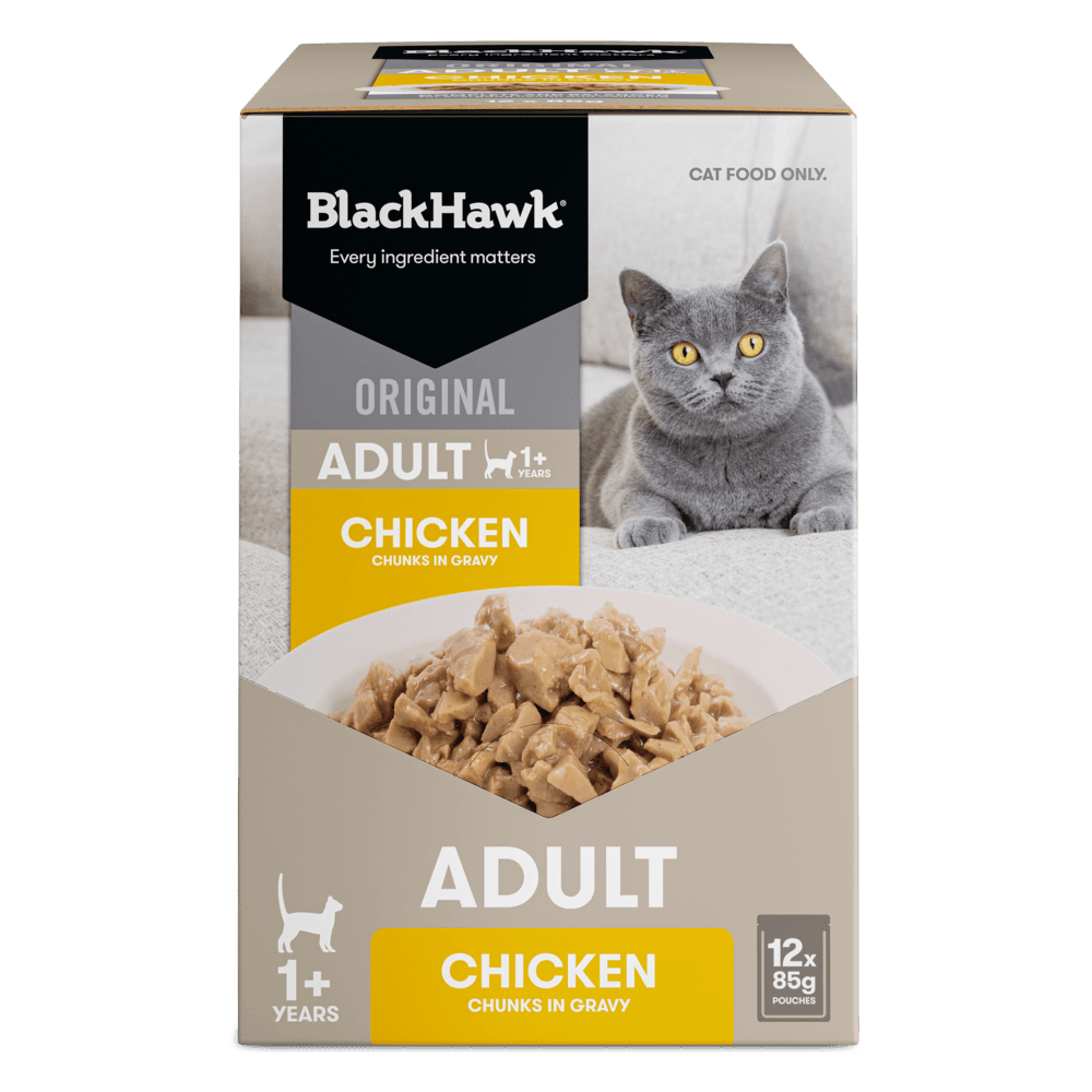 black-hawk-wet-cat-food-adult-chicken-in-gravy-pouches
