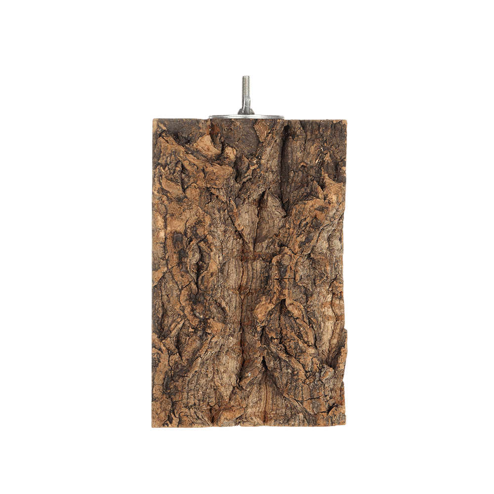 beakjoy-cork-bark-perch-bird