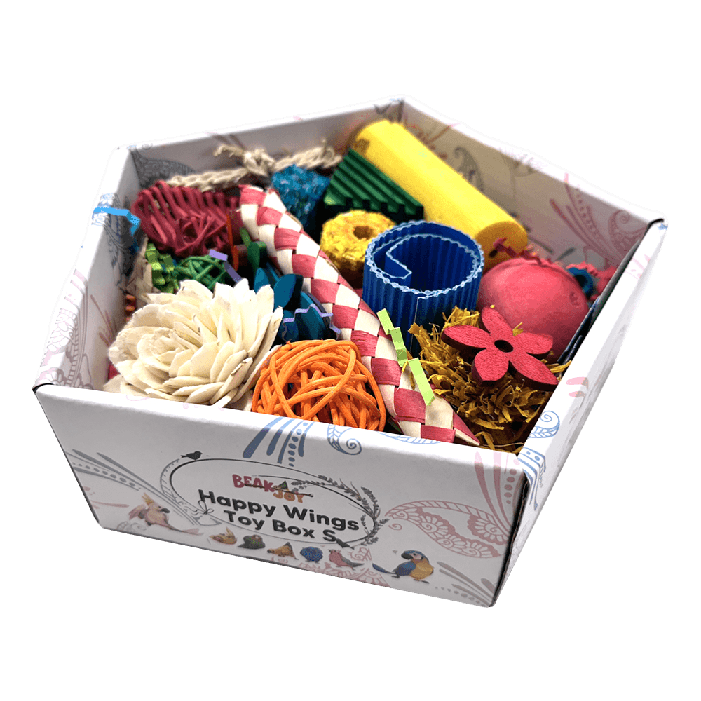 beakjoy-happy-wings-foraging-bird-toy-box