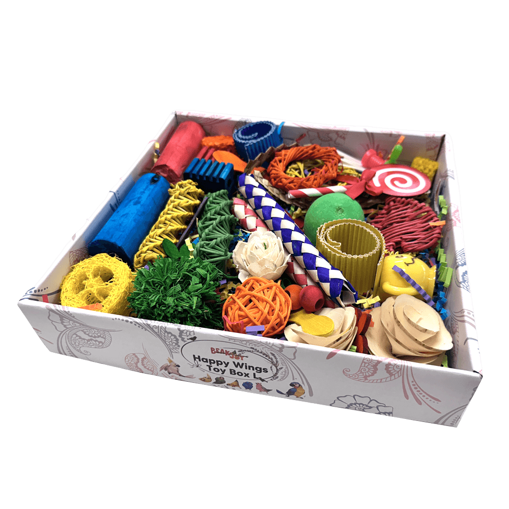 beakjoy-happy-wings-foraging-bird-toy-box