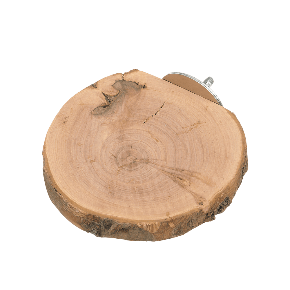 beakjoy-birdie-apple-wood-platform-perch-bird