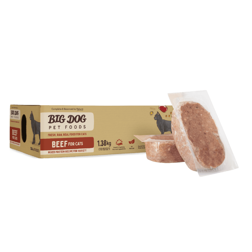 big-dog-beef-frozen-raw-cat-food
