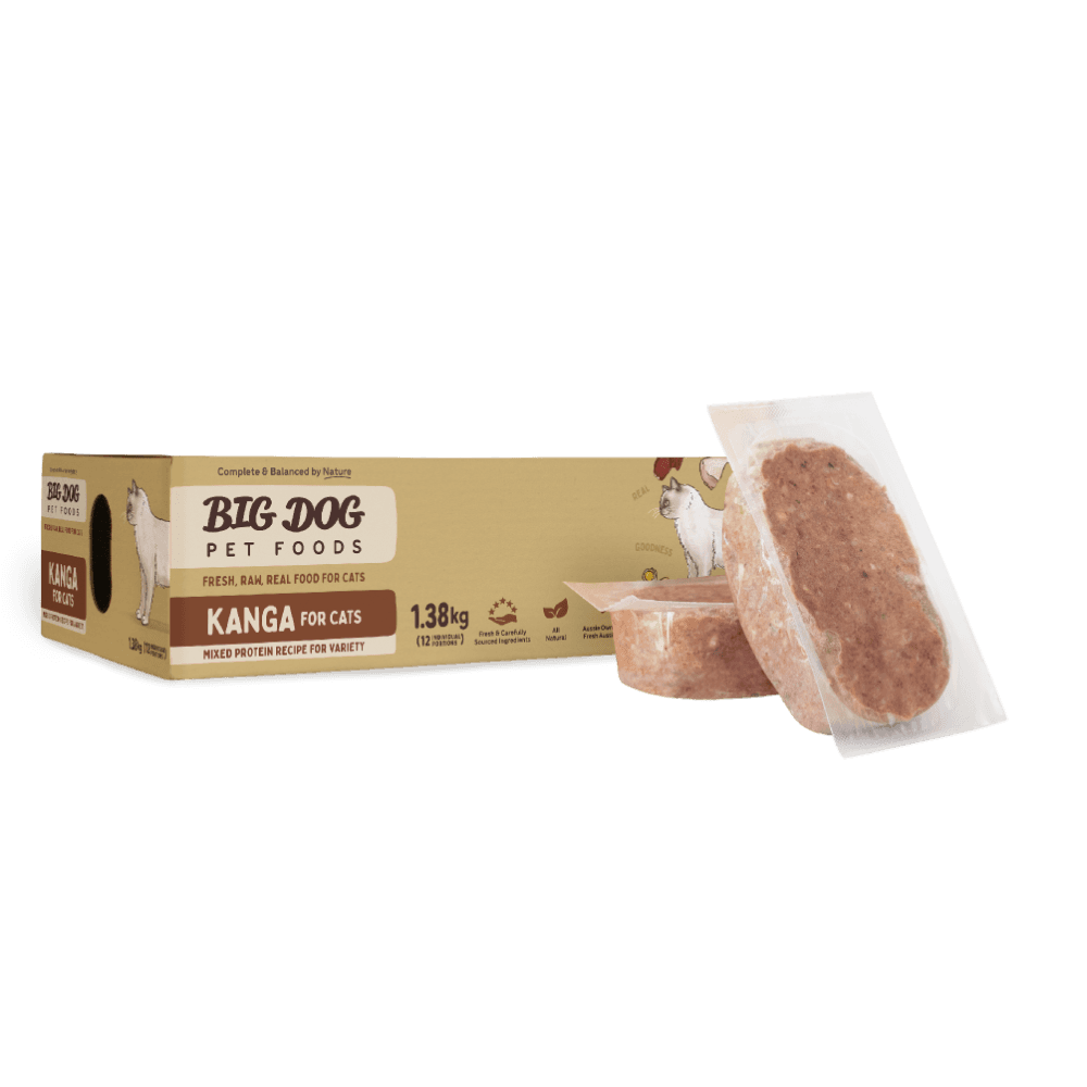 big-dog-kanga-frozen-raw-cat-food