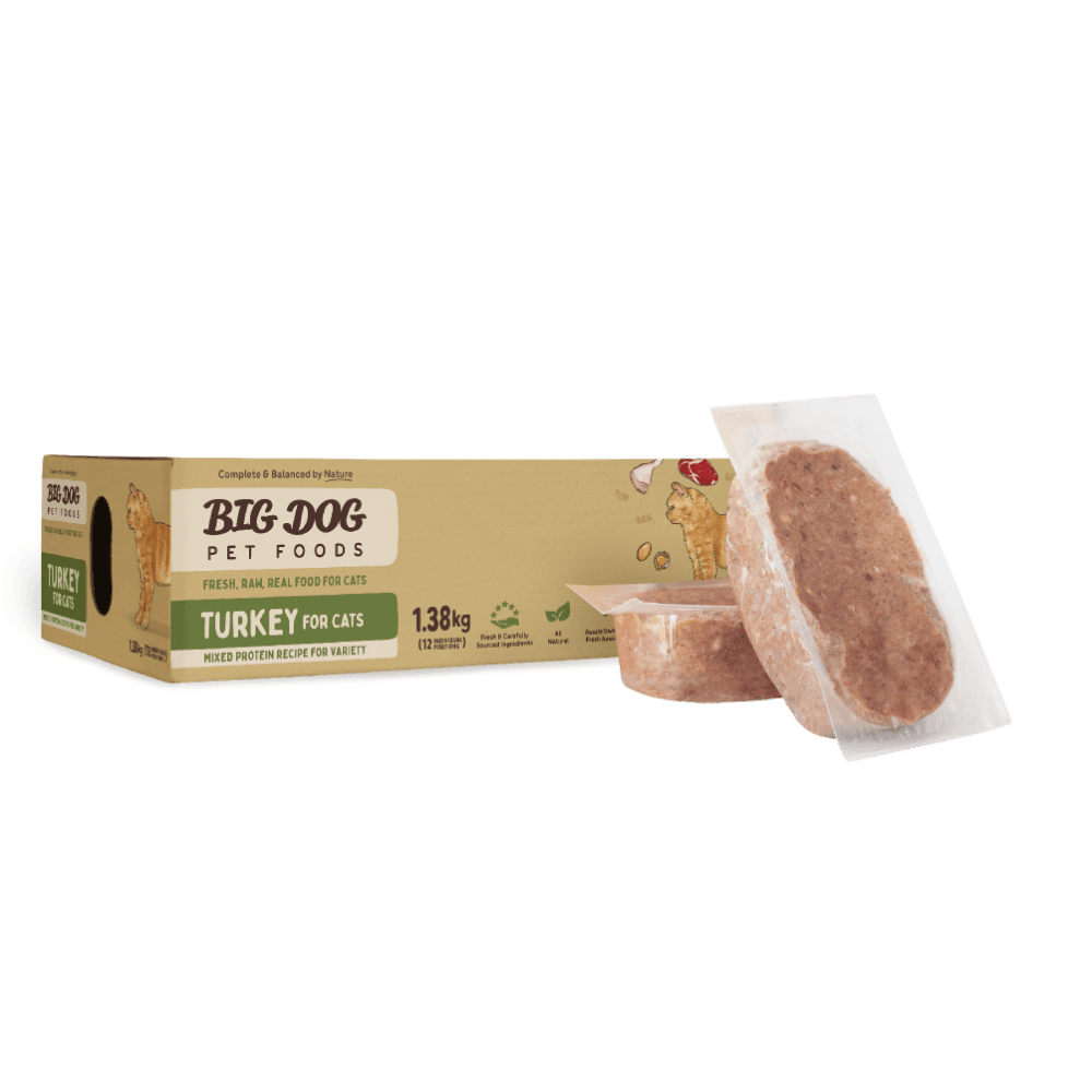 big-dog-turkey-frozen-raw-cat-food