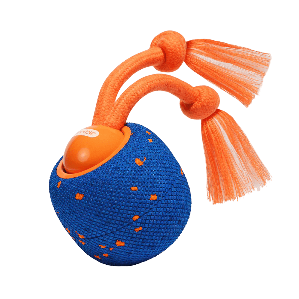 Wicked Ball Rolly Dog Toy Royal Blue