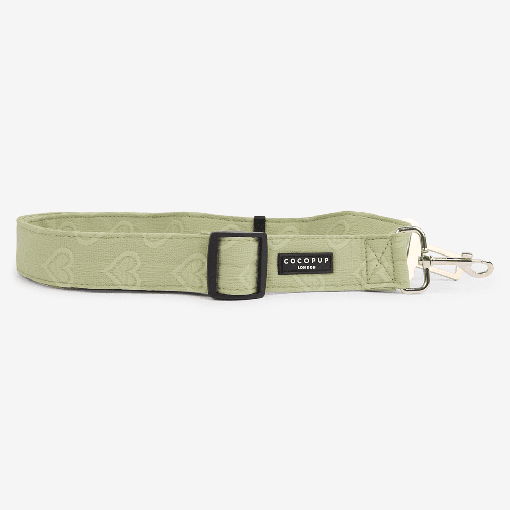 cocopup-london-dog-seat-belt-restraint-sage-heart