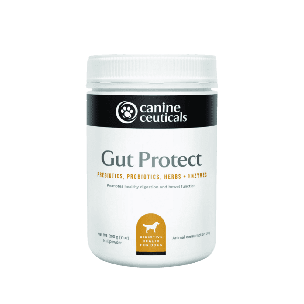 canineceuticals-gut-protect-digestive-health-powder-for-dogs
