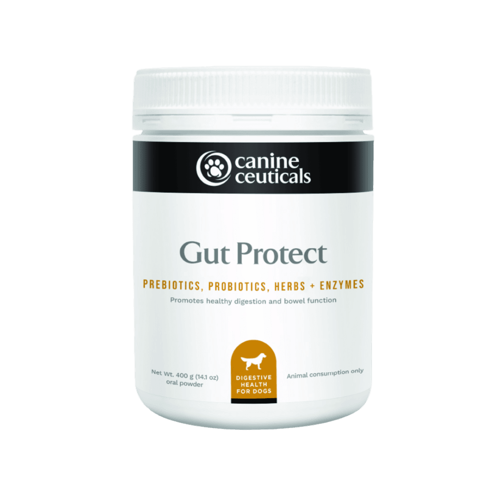 Gut Protect Digestive Health Powder For Dogs