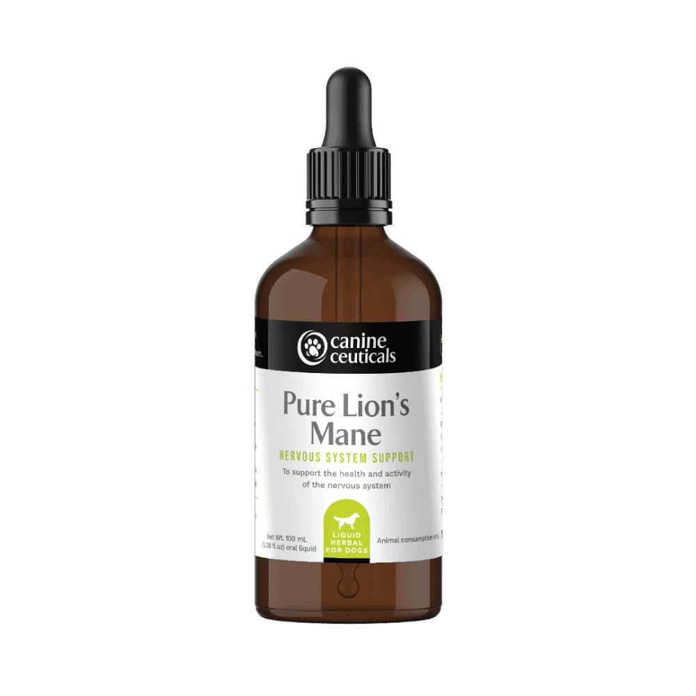 canineceuticals-pure-lions-mane-nervous-system-support-drops-for-dogs