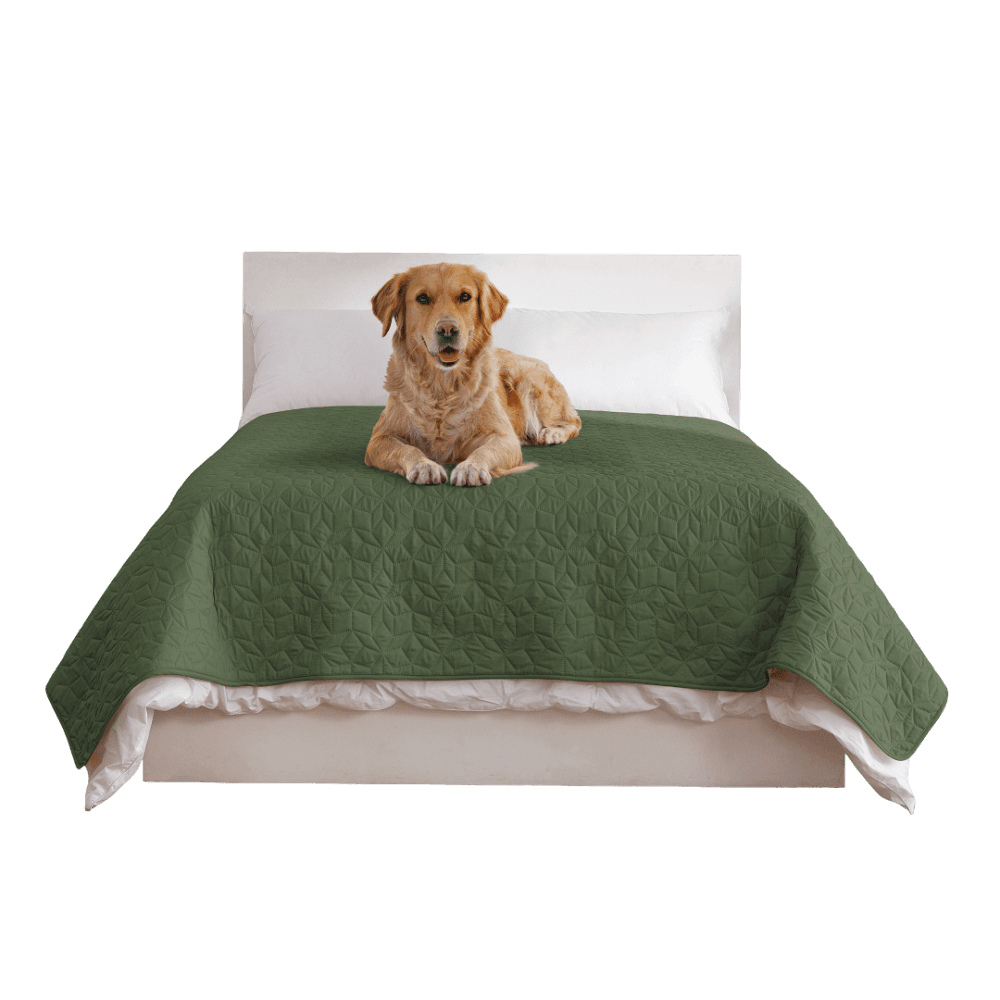 charlies-sofur-waterproof-dog-couch-cover-protector-olive