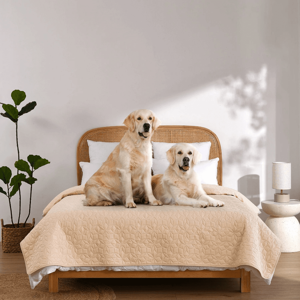charlies-sofur-waterproof-dog-bed-cover-protector-double-queen-oat