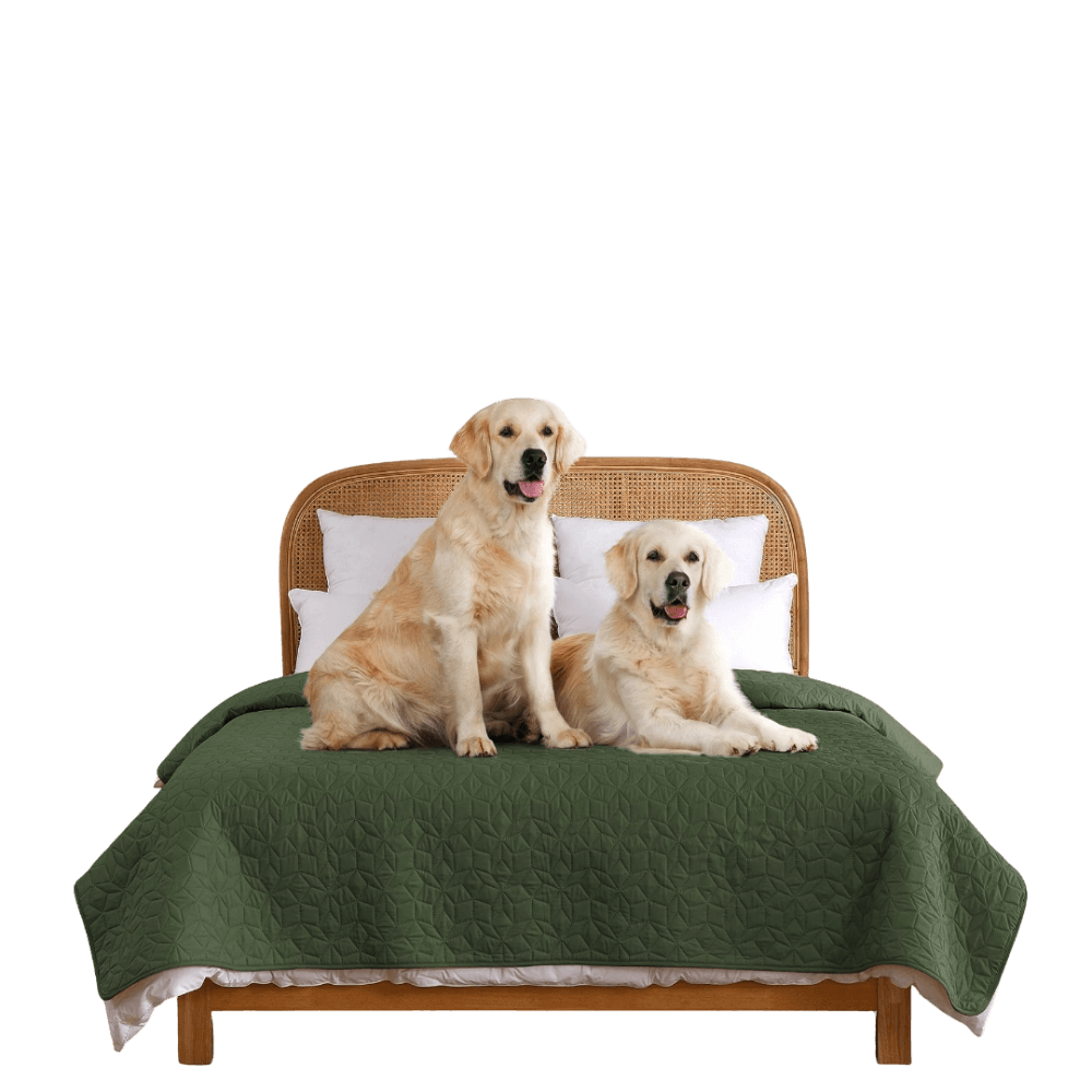 charlies-sofur-waterproof-dog-couch-cover-protector-olive