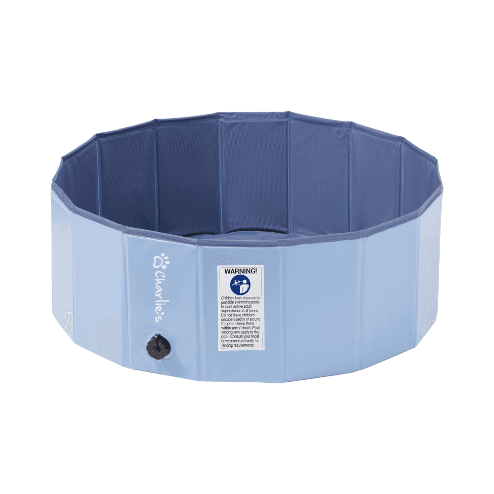 charlies-splash-society-portable-foldable-dog-pool