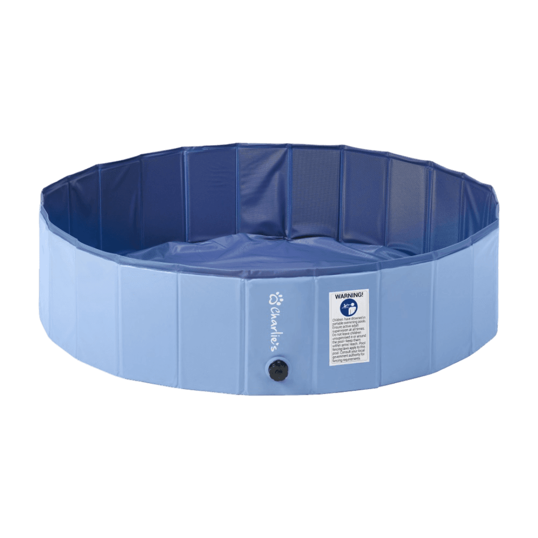 charlies-splash-society-portable-foldable-dog-pool