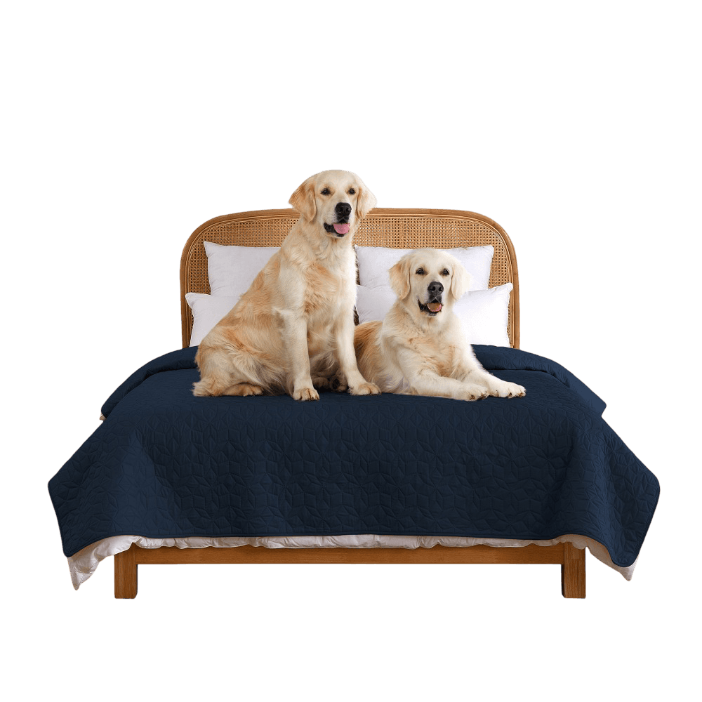 charlies-sofur-waterproof-dog-couch-cover-protector-midnight-blue