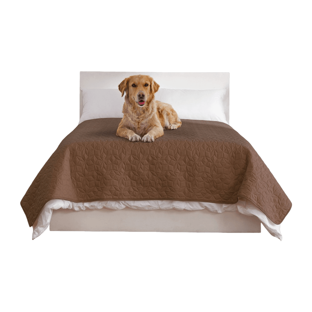 charlies-sofur-waterproof-dog-couch-cover-protector-espresso