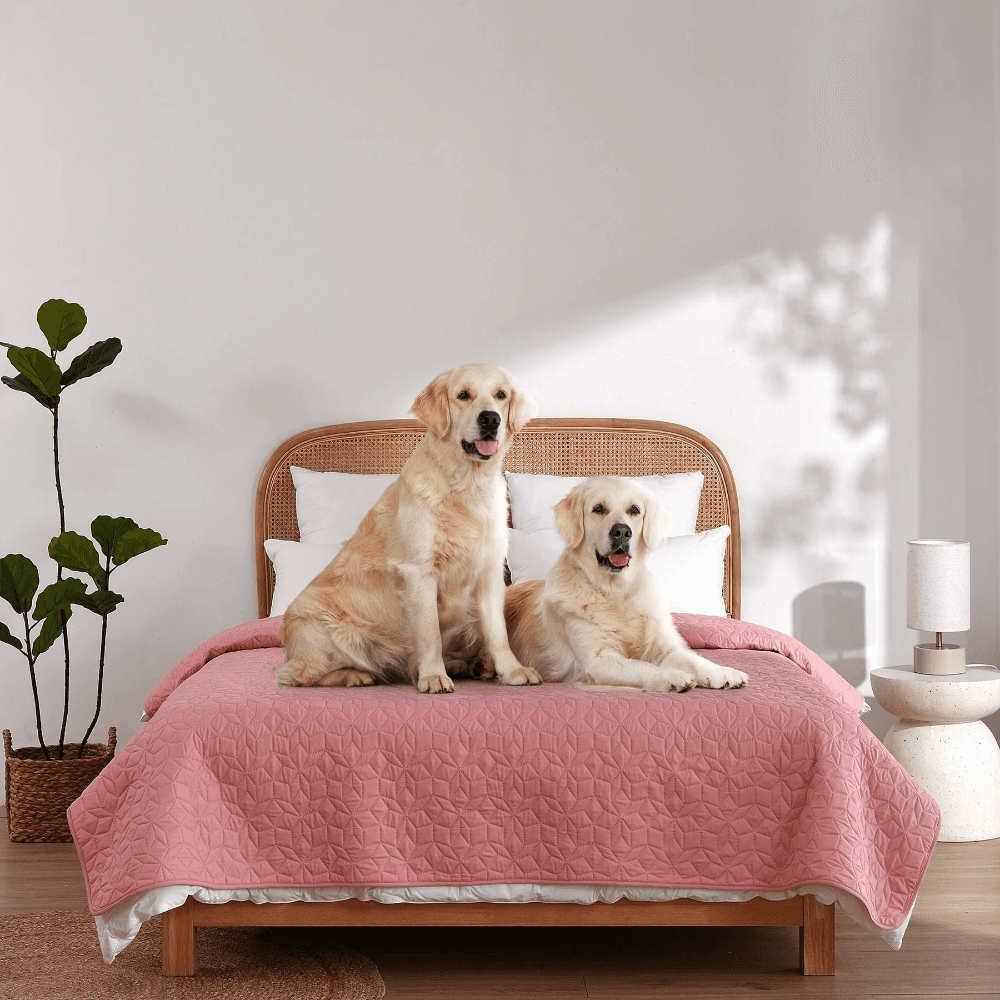 Sofur Waterproof Dog Bed Cover Protector Pink